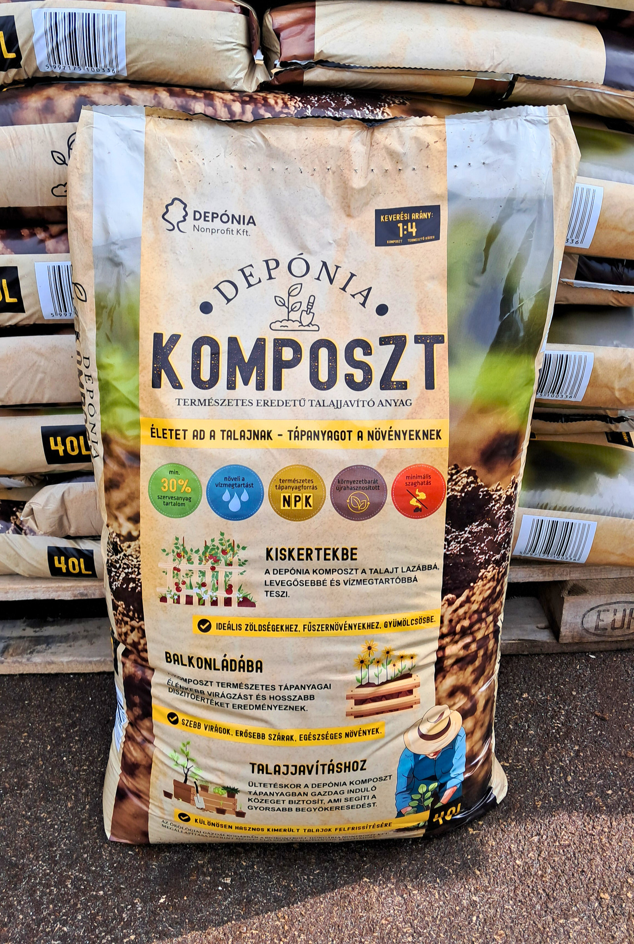 Komposzt